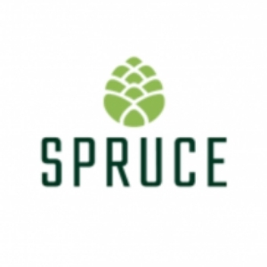 Spruce CBD Review
